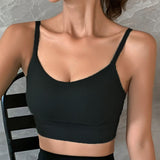 Tank Crop Top Seamless Underwear Crop Tops Sexy Lingerie